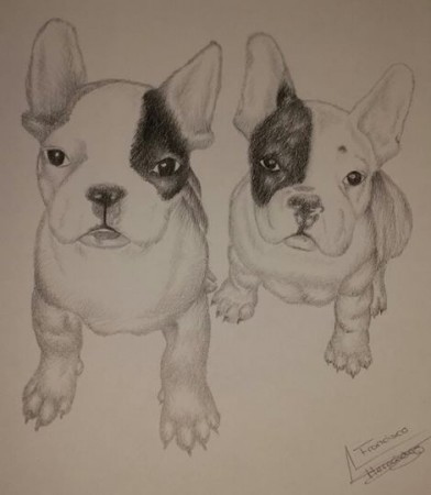 Perros
